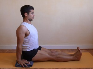 dandasana